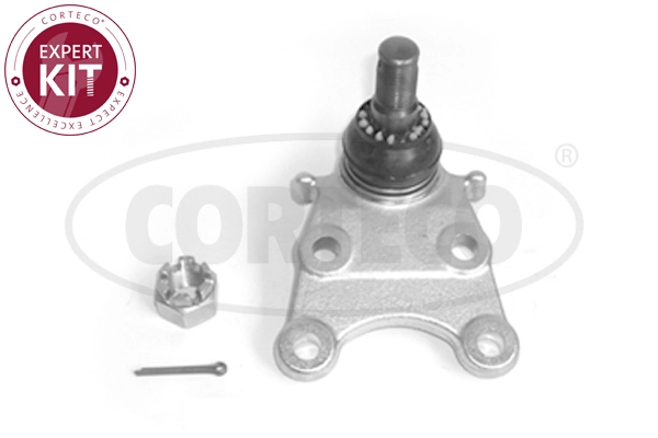 Ball Joint (WG2291798)