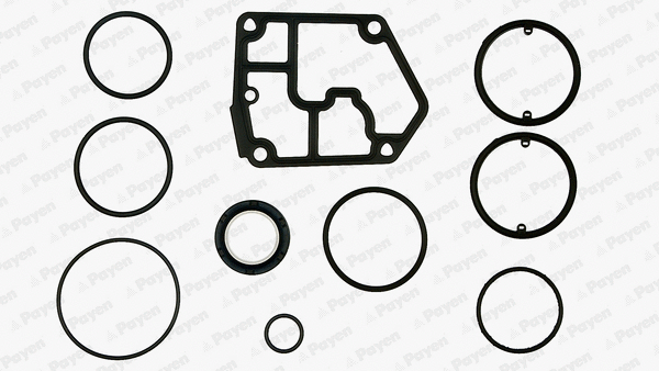 Gasket Kit, crankcase (WG1179993)