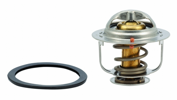 Thermostat, coolant (WG1409286)