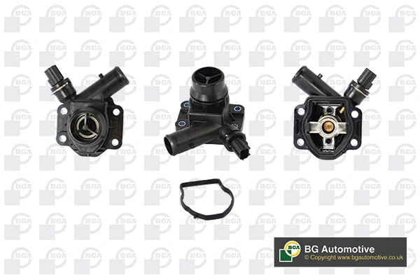 Thermostat, coolant (WG1760309)