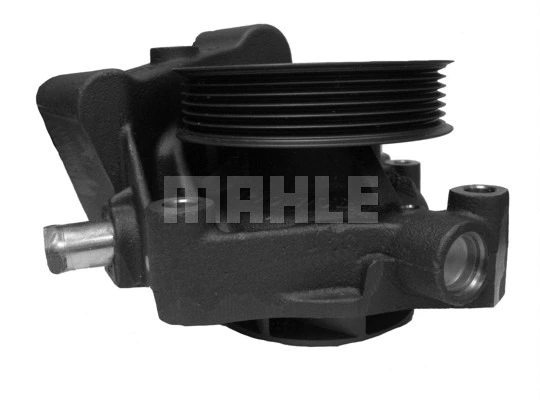 Water Pump, engine cooling (WG2181959)