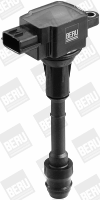 Ignition Coil (WG1487579)