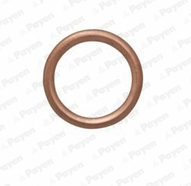 Seal Ring, oil drain plug (WG1182957)