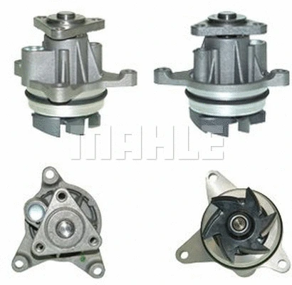 Water Pump, engine cooling (WG2181351)