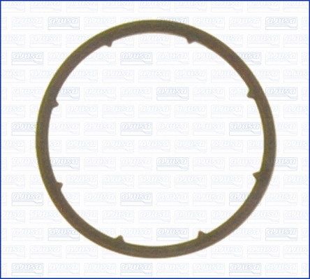 Gasket, oil cooler (WG1448242)
