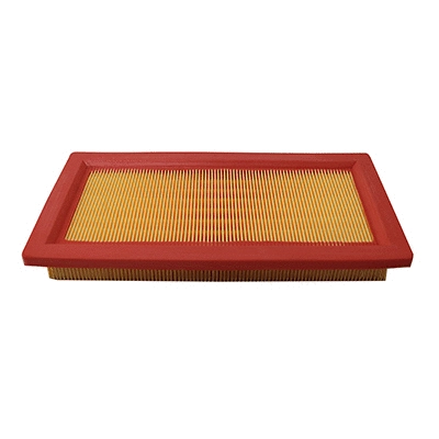 Air Filter (WG2152054)