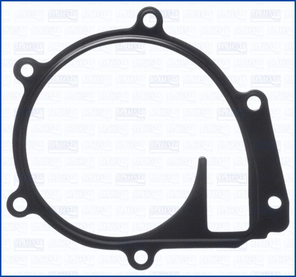 Gasket, water pump (WG2080067)