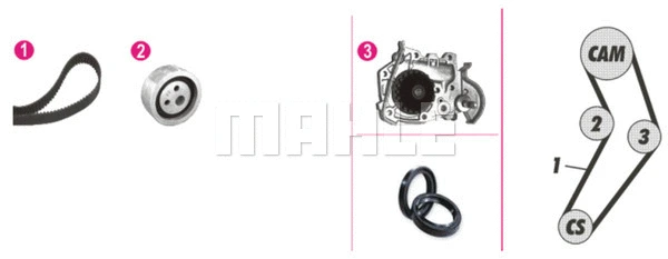 Water Pump & Timing Belt Kit (WG2182151)