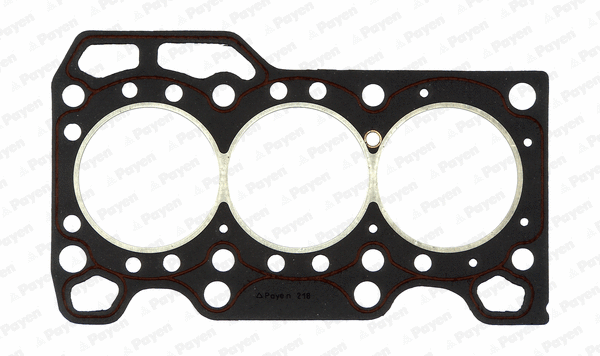Gasket, cylinder head (WG1090888)