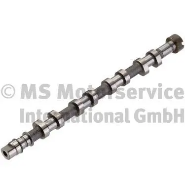 Camshaft (WG1380626)