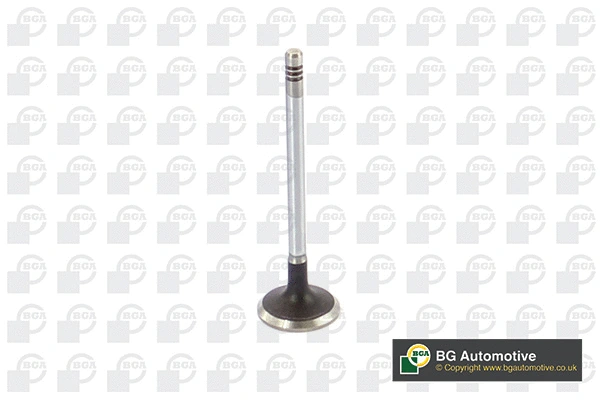 Intake Valve (WG1814470)
