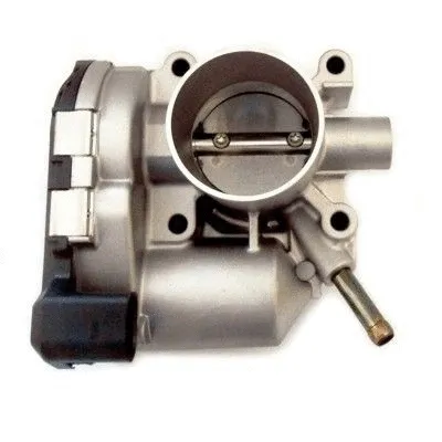 Throttle Body (WG1719786)