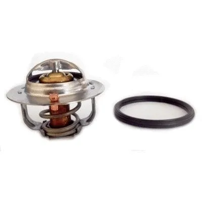Thermostat, coolant (WG1749713)