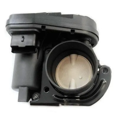 Throttle Body (WG1749354)