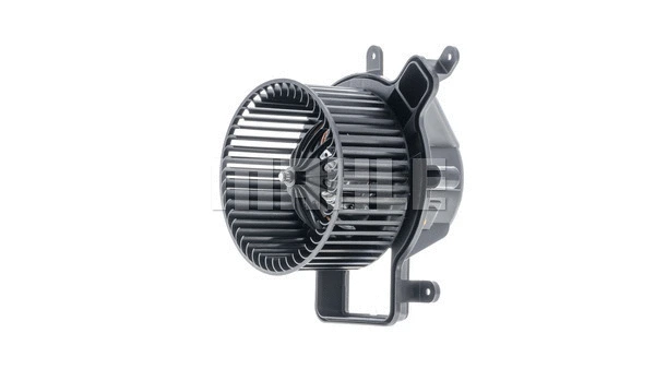 Interior Blower