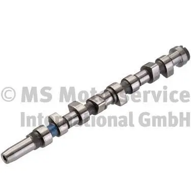Camshaft (WG1380599)