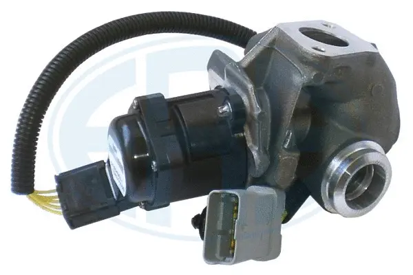 EGR Valve (WG1494459)