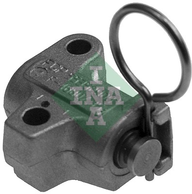 Tensioner, timing chain (WG1725065)