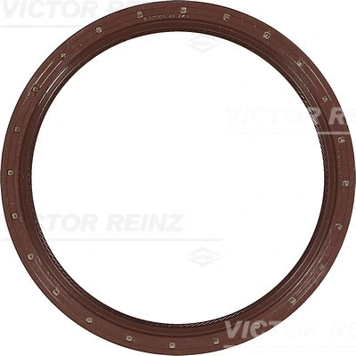 Shaft Seal, crankshaft (WG1249793)