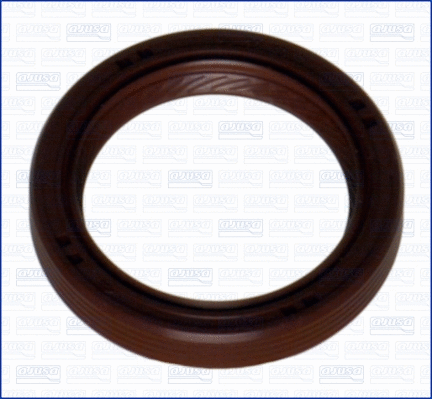 Shaft Seal, camshaft (WG1009207)