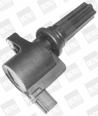 Ignition Coil (WG1487421)