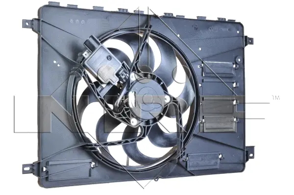 Fan, engine cooling