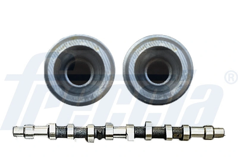 Camshaft (WG1779057)