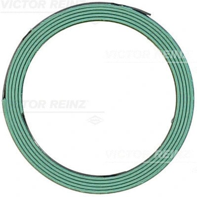 Gasket, exhaust pipe (WG2102246)