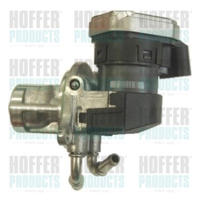EGR Valve (WG1408668)