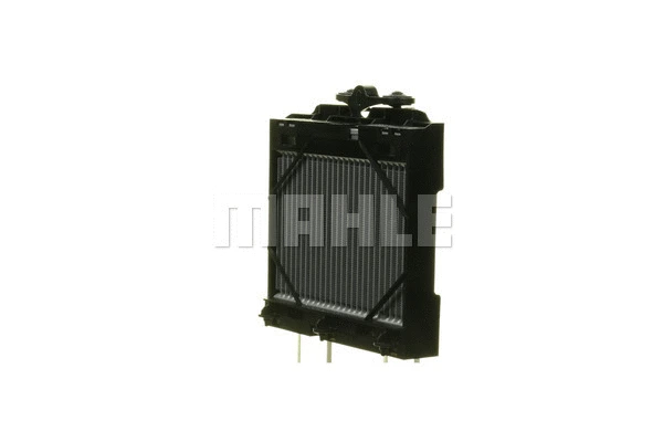 Radiator, engine cooling (WG2184145)