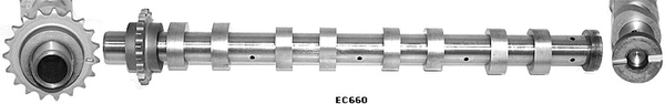 Camshaft (WG1051616)
