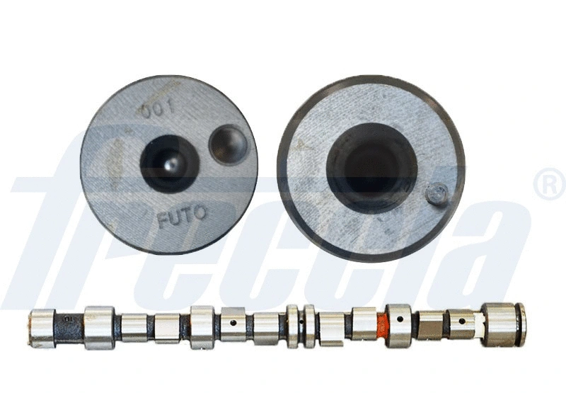 Camshaft (WG1779064)