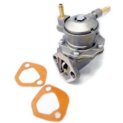 Fuel Pump (WG1012705)