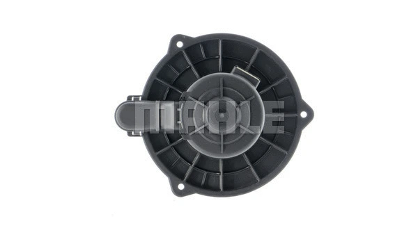 Interior Blower (WG2179874)