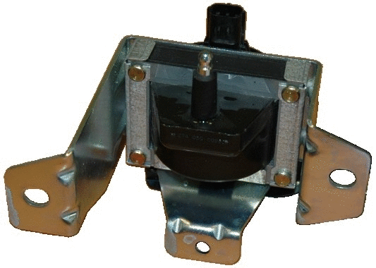 Ignition Coil (WG1012224)