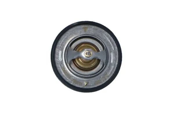 Thermostat, coolant (WG2184731)
