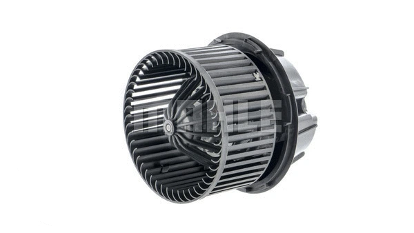 Interior Blower