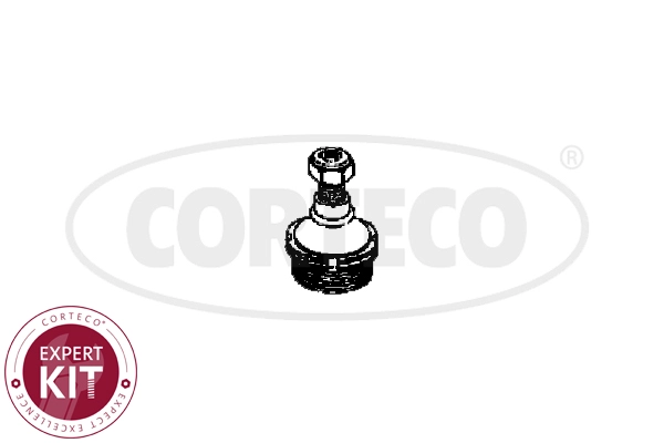 Ball Joint (WG2288228)
