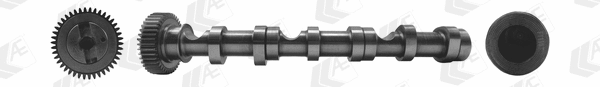 Camshaft (WG1807088)