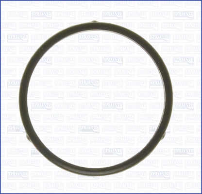 Seal, thermostat (WG2074488)