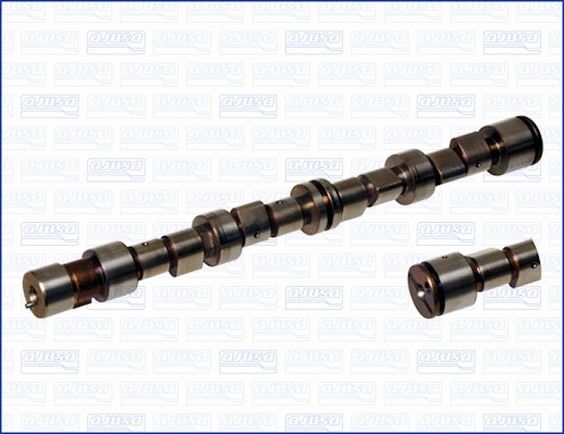 Camshaft (WG1170898)
