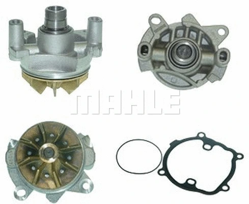 Water Pump, engine cooling (WG2181281)
