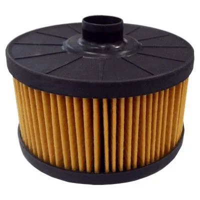 Oil Filter (WG1746654)