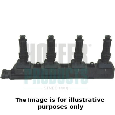 Ignition Coil (WG2099666)