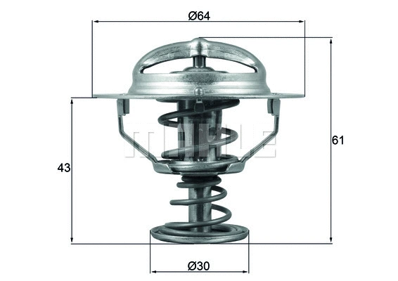 Thermostat, coolant (WG1426539)