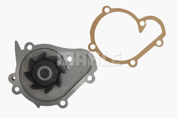Water Pump, engine cooling (WG2181423)