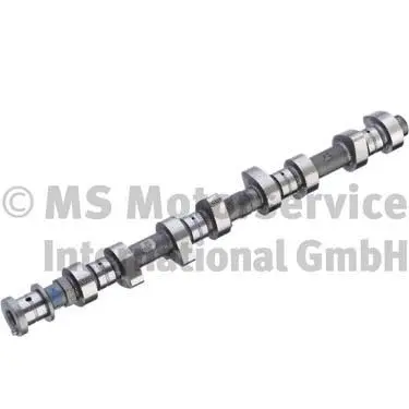 Camshaft (WG1196164)