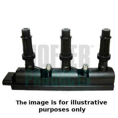 Ignition Coil (WG1902114)