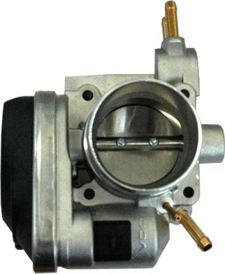 Throttle Body (WG1013563)