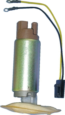 Fuel Pump (WG1012631)